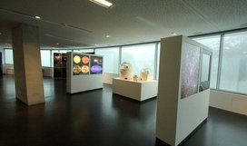 Interior view of the HdA building: exhibition space in the foyer. The back-lit showcases feature a variety of astronomical imagery. Center right, models of telescopes from the Calar Alto Observatory at a scale of 1:50. Image: HdA/M. Pössel