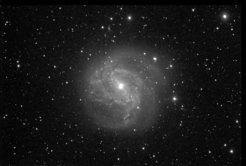 The spiral galaxy M 83. Image taken by participants of the 2016 Girls' Day at Haus der Astronomie with a 0.4 m telescope at Las Cumbres Observatory Global Telescope Network, Siding Spring node (Australia).