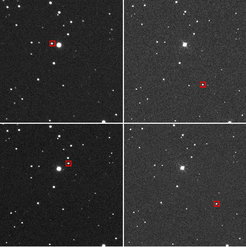 Diese vier Aufnahmen zeigen Apophis zu zwei verschiedenen Zeitpunkten. Sie demonstrieren sowohl die Eigenbewegung des Asteroiden am Himmel als auch den unterschiedlichen Blickwinkel auf ihn vor dem Hintergrund weit entfernter Sterne, die Parallaxe. Die Aufnahmen der linken Spalte stammen vom Faulkes Telescope South am Siding-Spring-Observatorium (Australien), die der rechten Spalte stammen vom Faulkes Telescope North auf dem Vulkan Haleakala (Hawaii). Die Bilder in der oberen Zeile sind gegen 12:46 MEZ aufgenommen, die Aufnahmen in der unteren Zeile gegen 12:56 MEZ.