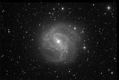 The spiral galaxy M 83. Image taken by participants of the 2016 Girls' Day at Haus der Astronomie with a 0.4 m telescope at Las Cumbres Observatory Global Telescope Network, Siding Spring node (Australia).