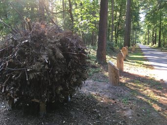 Die Sonne (links) ist der Beginn des Planetenwegs, der sich 300 Meter die Straße entlang schlängelt. Die Sonne (links) ist der Beginn des Planetenwegs, der sich 300 Meter die Straße entlang schlängelt.