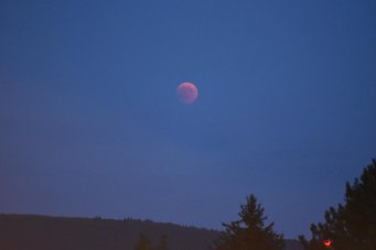 Der verfinsterte Mond taucht aus dem Dunst am Osthorizont auf Der verfinsterte Mond taucht aus dem Dunst am Osthorizont auf