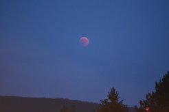 Der verfinsterte Mond taucht aus dem Dunst am Osthorizont auf