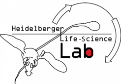 Logo des Heidelberger Life-Science Lab