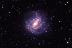 Eines der Motive der erzeugten Bilder der Teilnehmerinnen (M83)