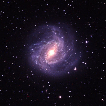 Eines der Motive der erzeugten Bilder der Teilnehmerinnen (M83). Eines der Motive der erzeugten Bilder der Teilnehmerinnen (M83)
