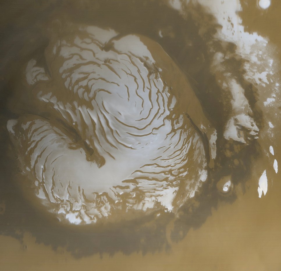 White fingerprit-like structure on an orange-brown background