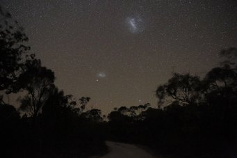 Night sky above the dark silhouettes of trees, between the stars two bluish shimmering clouds of stars, the larger one of the two is above the other Night sky above the dark silhouettes of trees, between the stars two bluish shimmering clouds of stars, the larger one of the two is above the other