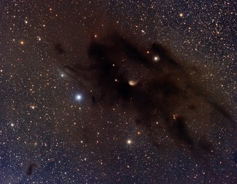 Part of the Taurus molecular cloud: dense dark brown-black cloud wisps against a stellar background Part of the Taurus molecular cloud: dense dark brown-black cloud wisps against a stellar background