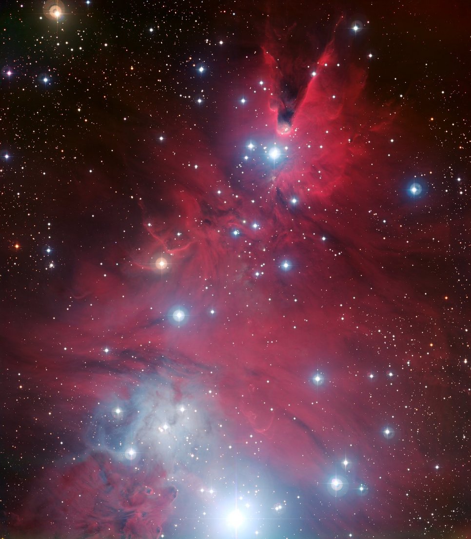 A group of blue stars, arranged in the shape of a fir tree, against the backdrop of an irregular pink cloud of gas. At the top of the tree there is a dark cone