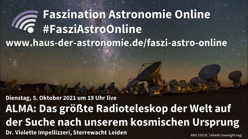 Violette Impellizzeri