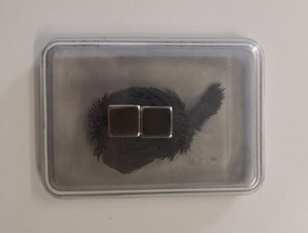 Abbildung 1: Magnetfeldlinien werden mit Eisenflocken sichtbar gemacht Abbildung 1: Magnetfeldlinien werden mit Eisenflocken sichtbar gemacht