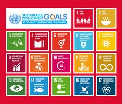 Infografik der SDGs