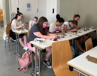 Abbildung 1: Die Mädchen schauen sich den Verlauf der Magnetfeldlinien an mithilfe von Eisenspänen Abbildung 1: Die Mädchen schauen sich den Verlauf der Magnetfeldlinien an mithilfe von Eisenspänen