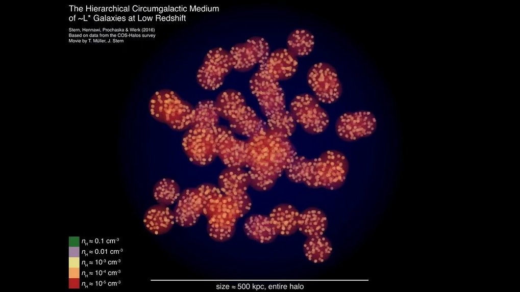 Reconstruction of the distribution of gas around low-redshift, Milky-Way-sized galaxies. The reconstruction is based on a new photoionization modeling method for CGM absorption lines surveys<br /><em>Video: T. Müller, J. Stern</em>