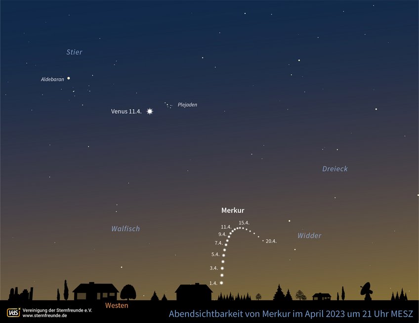 Merkur taucht von Anfang bis Mitte April am Abendhimmel auf. Deutlich höher und heller steht Venus, die ab dem 11. April an den Plejaden vorbeizieht Ansicht des Himmels in der Abenddämmerung Richtung Westen. Die Position des Merkur über dem Horizont ist für jeden Tag vom 1. bis zum 20. April 2023 als Bogen eingezeichnet. Zusätzlich ist die Position der Venus am 11. April neben den Plejaden markiert