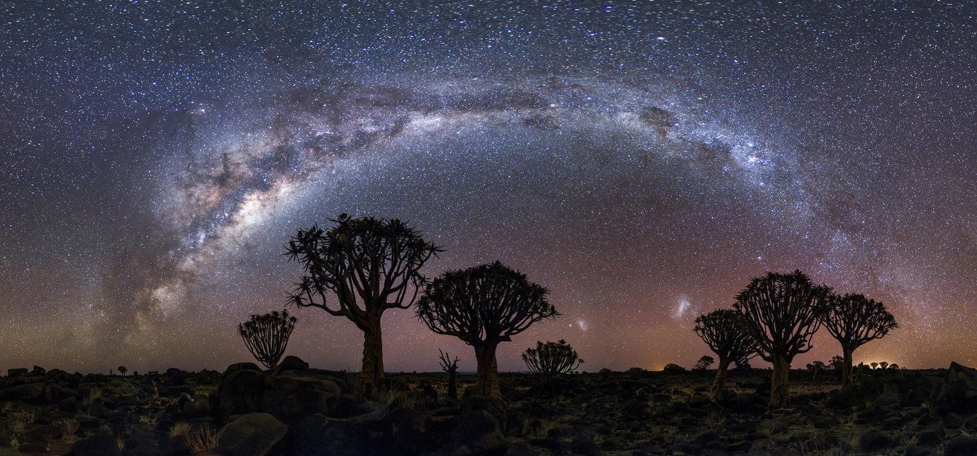 Panoramaaufnahme des Bands der Milchstraße über den Silhouetten von mehreren Köcherbäumen - ausgezeichnet in der Kategorie Smartphone-Astronomie des dritten OAE-Astrofoto-Wettbewerbs