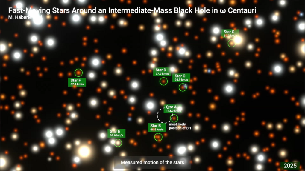 Neu entdeckt: das uns nächste massereiche Schwarze Loch, ein bislang fehlendes Bindeglied der Evolution Schwarzer Löcher